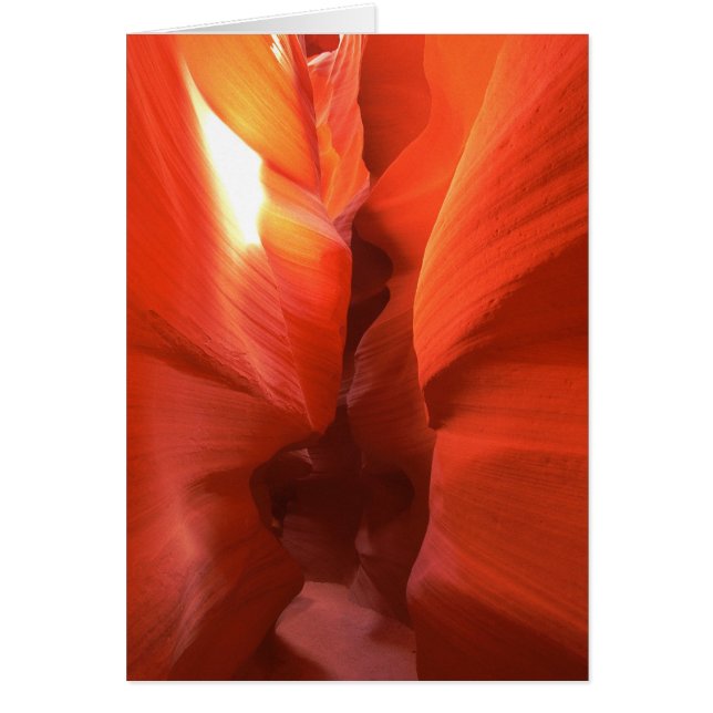 Cartão de Passagem do Canyon Corkscrew (Frente)