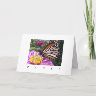 Cartão de Pausa: Monarca em Zinnia Rosa