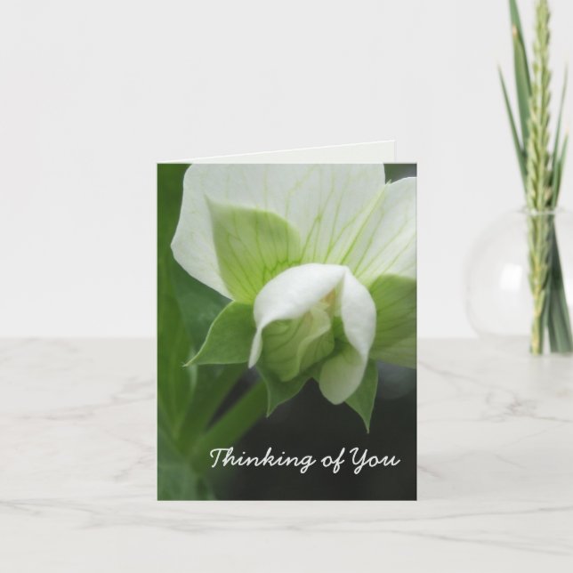 Cartão de Pensando em Você Totalmente Personalizáv (Frente)