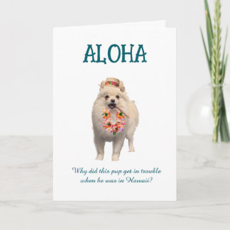Cartão de Piada Aloha com Cachorro