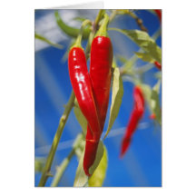 Cartão de pimento vermelho