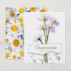 Cartão de pintura a aquarela de camomile vintage