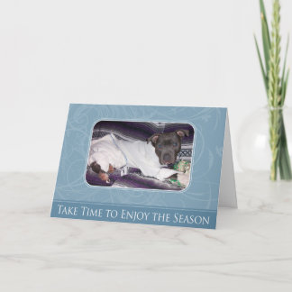 Cartão de Pitbull do feriado