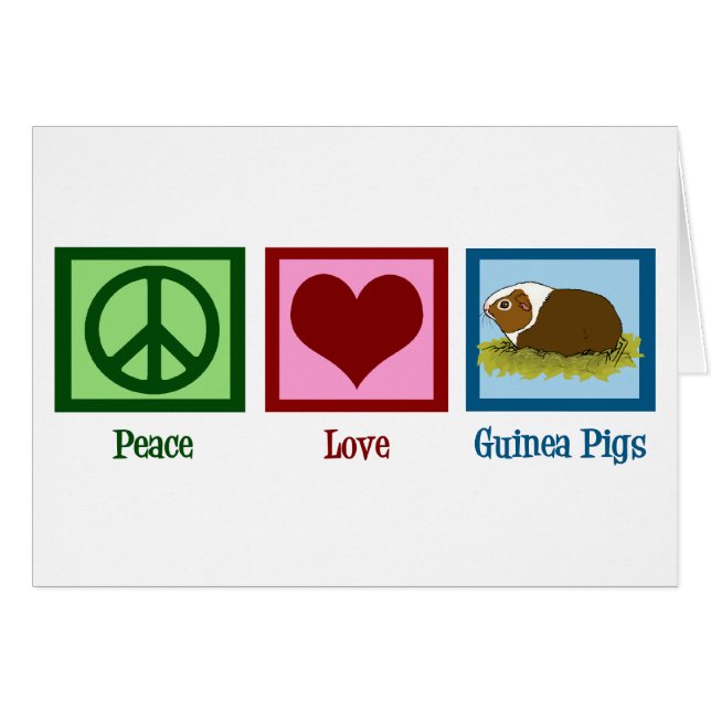 Cartão de Porquinho-da-Índia Fofo Paz Amor Porquin (Frente Horizontal)