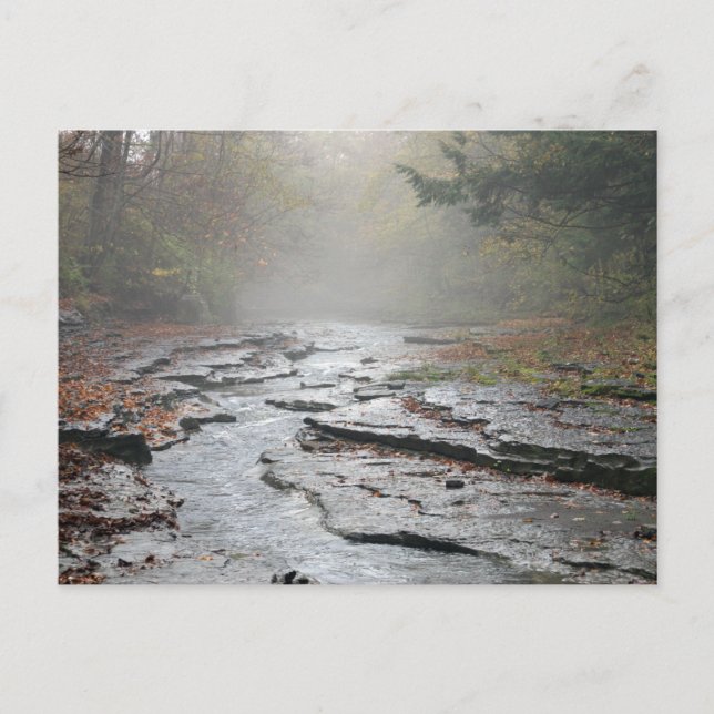 Cartão de Posto Adirondacks nº 001 (Frente)