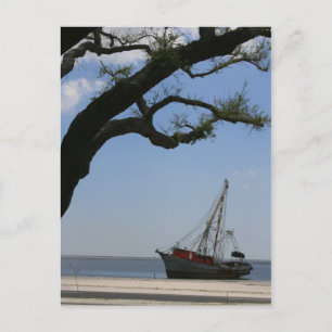 Cartão de Posto Ahoy