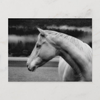 Cartão de Posto Bela Branca