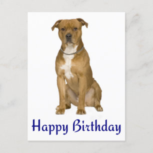Cartão de Posto Birthday American Staffordshire Te