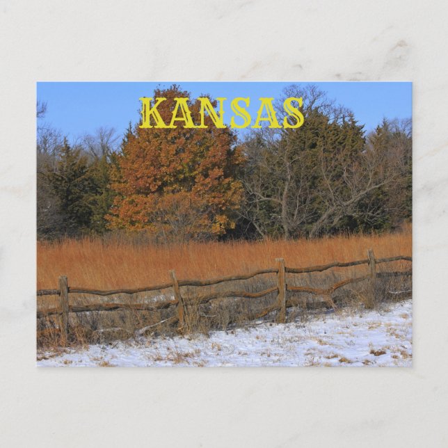 Cartão de Posto de Paisagem de Kansas Fall/Winter. (Frente)