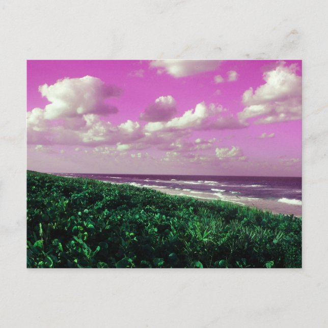 cartão de posto de praia (Frente)