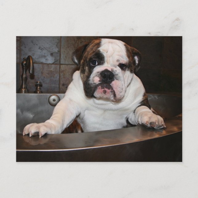 Cartão de Posto de tempo de banho (Frente)