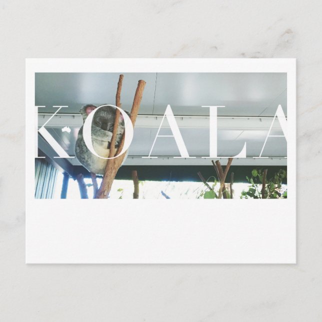 Cartão de Posto Koala Austrália (Frente)