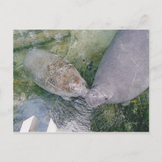 Cartão de Posto Manatee Smooch