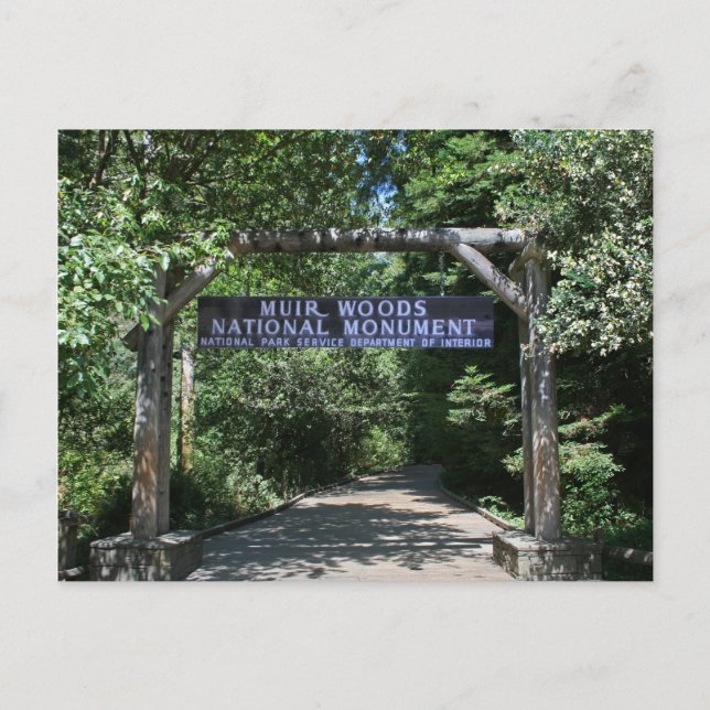 Cartão de Posto Muir Woods (Frente)