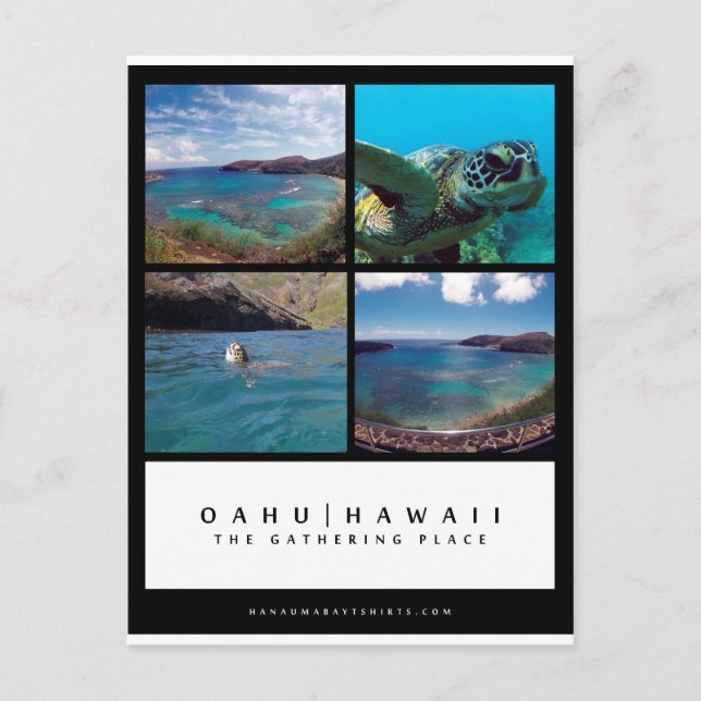 Cartão de Posto Oahu Hawaii Hanauma Bay (Frente)