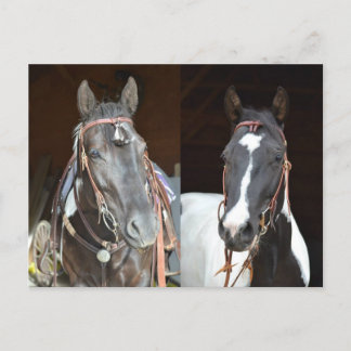 cartão de posto pinto