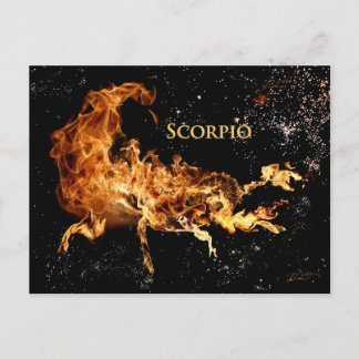 Cartão de Posto Scorpio - Símbolos Zodiac