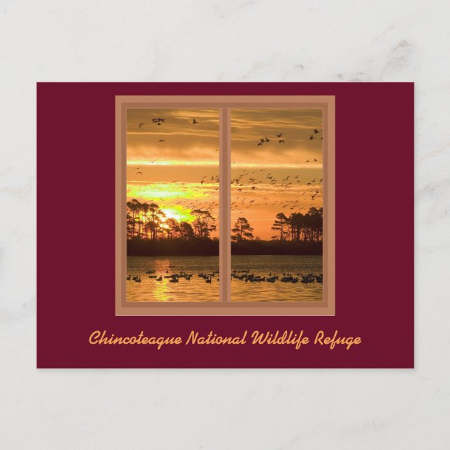 Cartão de Posto Sunset da Ilha Chincoteague (Frente)