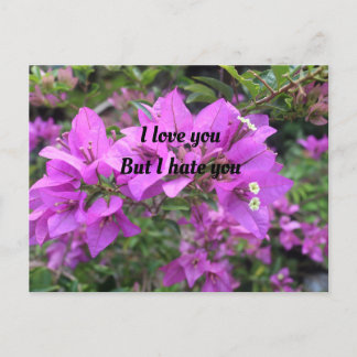 Cartão de posto, Tamanho: Cartão-Postal Padrão, Pa