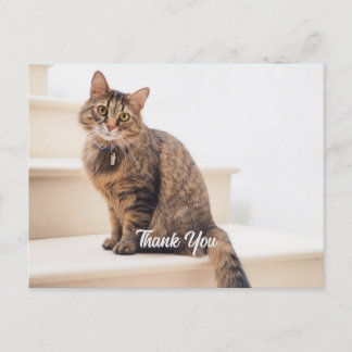 Cartão de posto, Tamanho: Cartão-Postal Padrão, Pa