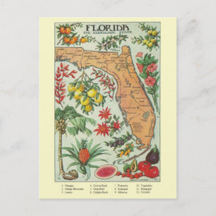Cartão de Posto Vintage Florida Map