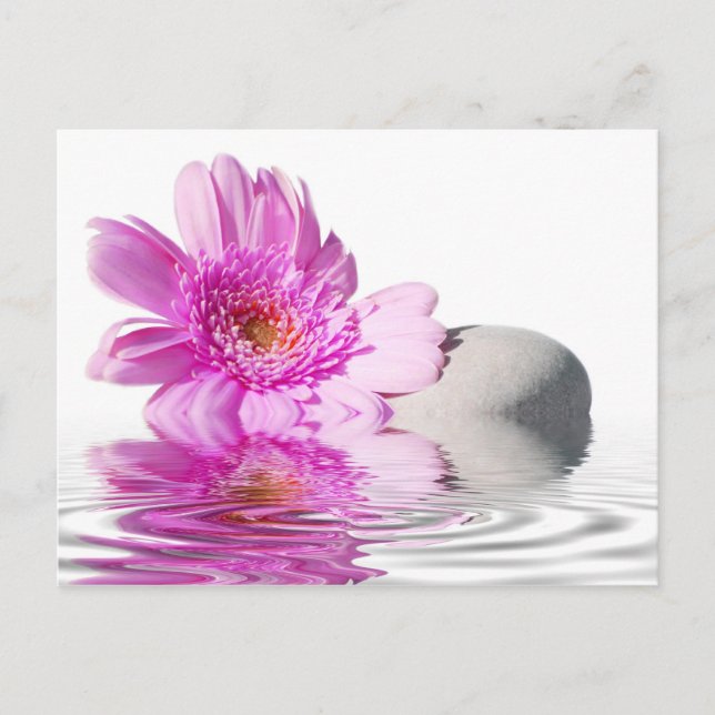 Cartão de posto Zénitude (Frente)