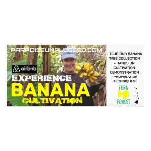 CARTÃO DE PRateleira DE CULTIVO DE BANANA EXPERIÊN