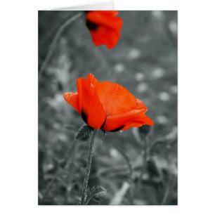 Cartão de preenchimento da tecla de cor