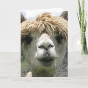 CARTÃO DE PRESENTE ALPACA EM BRANCO