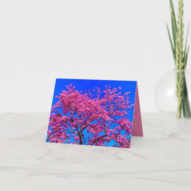 Cartão de Primavera com Flores Cor-de-Rosa (Frente)