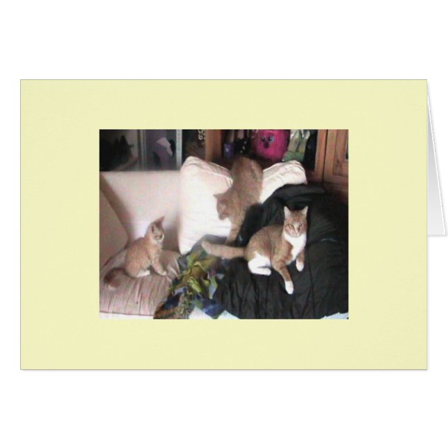 Cartão de Purrtrait da família (Frente Horizontal)