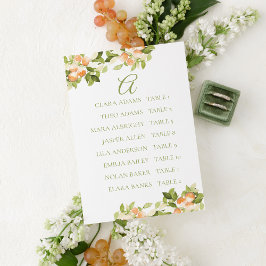 Cartão de Quadro de Assentos de Casamento Laranja 