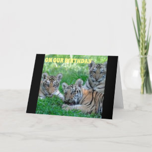 CARTÃO *DE QUALQUER MANEIRA QUE VOCÊ OLHA PARA ELE É O SE