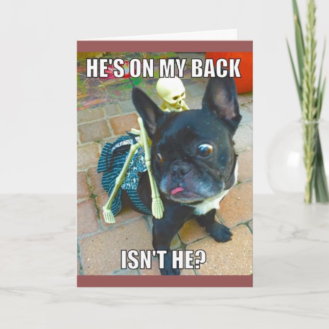 Cartão de QueenFiFi o Dia das Bruxas (Frente)