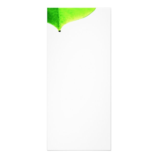Cartão de Rack de Folha Verde (Frente)