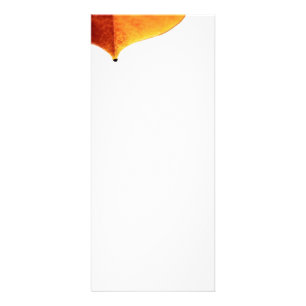 Cartão de Rack de Saída Laranja