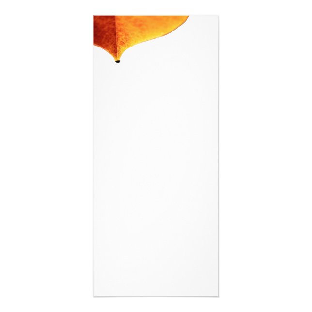 Cartão de Rack de Saída Laranja (Frente)