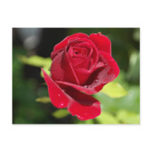 Cartão de receita Biscoito de Manteiga de Amendoim