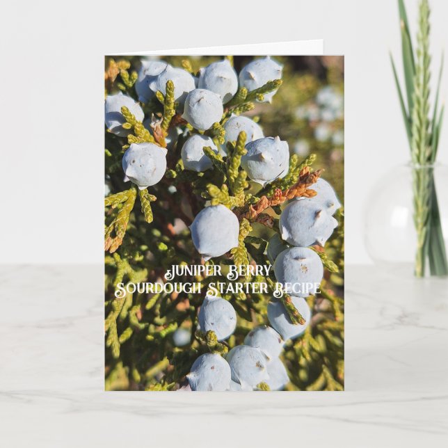 Cartão de Receita de Juniper Berry Sourdough Start (Frente)