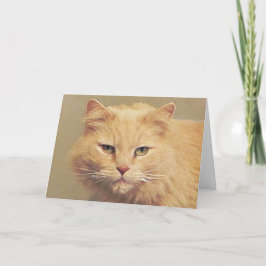 Cartão de Recuperação Maine Coon