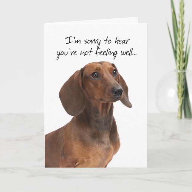 Cartão de Recuperação para Dachshund (Frente)