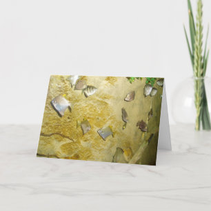 Cartão de Recuperação "Peixe Tropical"