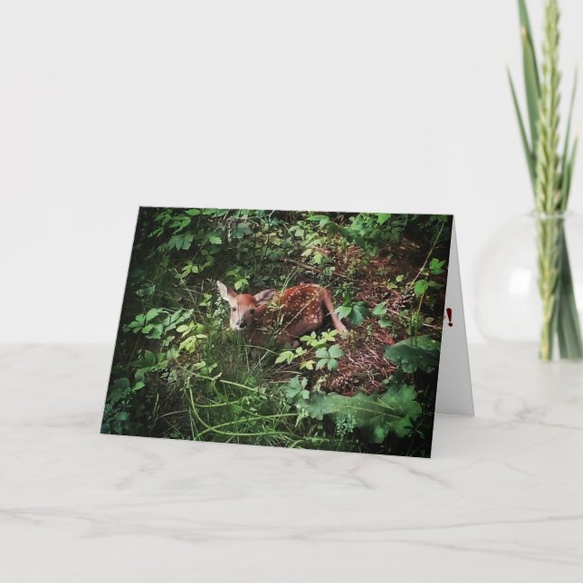 Cartão de Recuperação "Whitetail Woods Deer" (Frente)