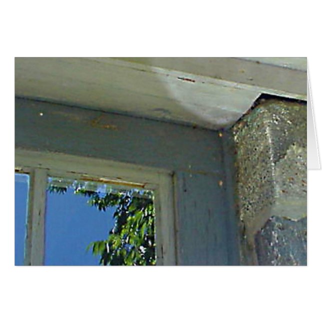 Cartão de reflexão da janela (Frente Horizontal)