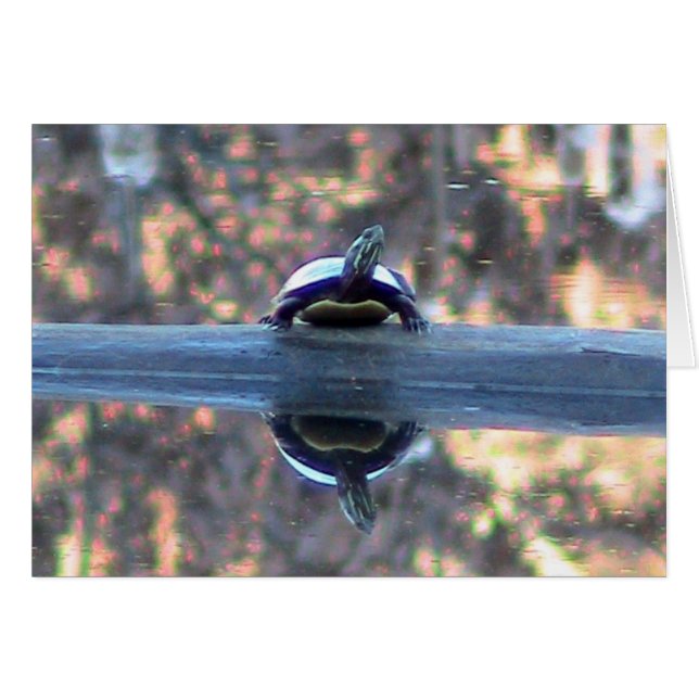 Cartão de Reflexão da Tartaruga (Frente Horizontal)