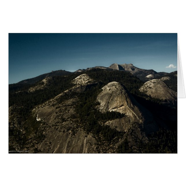 Cartão de Renovação (Frente horizontal)