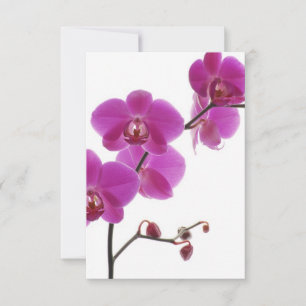Cartão de Resposta de Convite de Casamento Orquíde