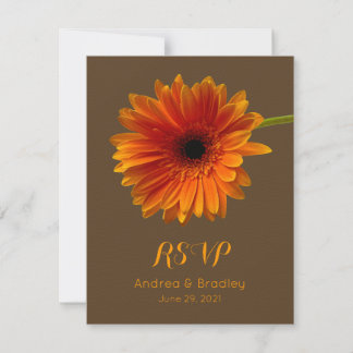 Cartão de Resposta Laranja Gerbera Daisy