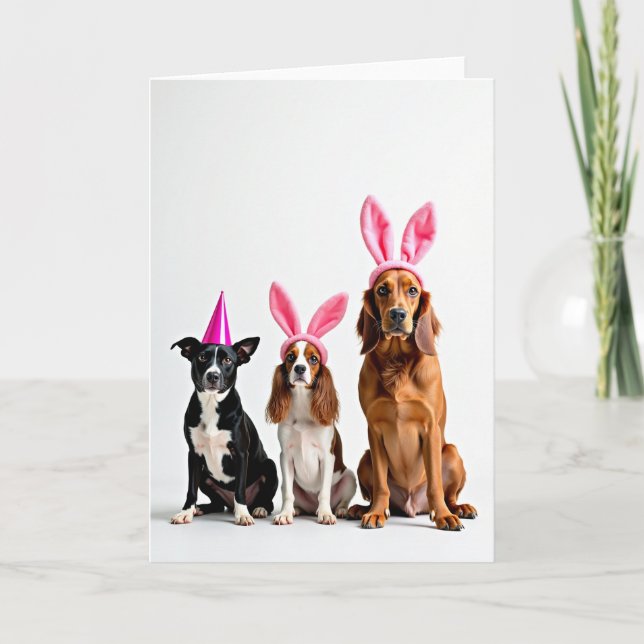 Cartão de retrato de três cães com chapéus rosa (Frente)