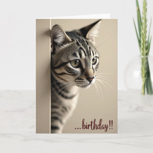 Cartão de Revelação de Aniversário de Gato Listrad